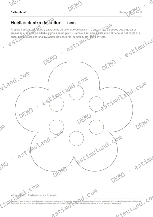 Huellas dentro de la flor — seis